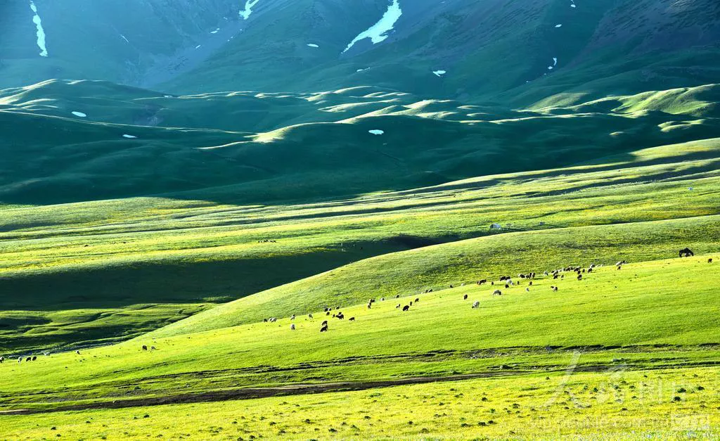 xinjiang-tianshan-2-69df4495b0f33