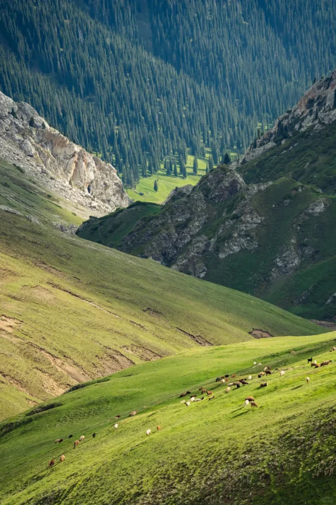 xinjiang-tianshan-6-69df449b3fc9f